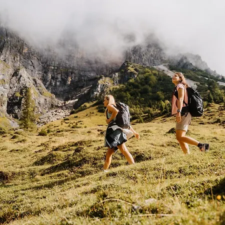 Edelweiss Maria Alm am Steinernen Meer