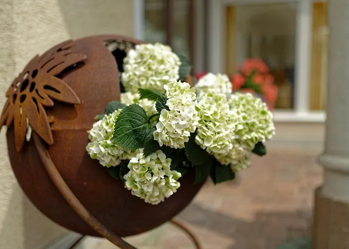 Edelweiss מלון 3*